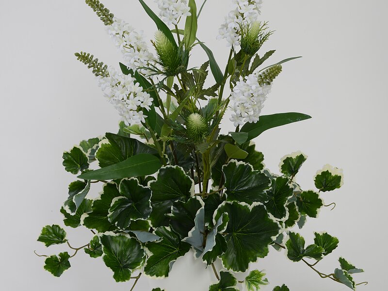 観葉植物タイプ クリーンフラワー花 花 観葉植物タイプ クリーンフラワー花 花