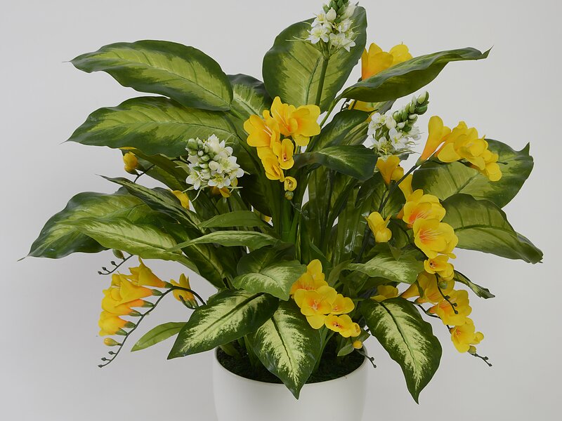 観葉植物タイプ クリーンフラワー花 花 観葉植物タイプ クリーンフラワー花 花